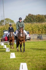 20241006-_dsc0129-standard.jpg