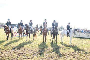 20241006-_dsc0132-standard-sud41l.jpg