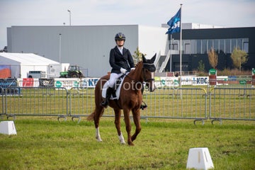 20241006-_dsc0133-standard.jpg
