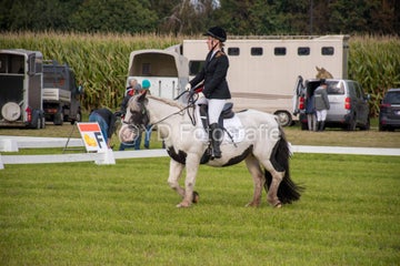 20241006-_dsc0136-standard.jpg