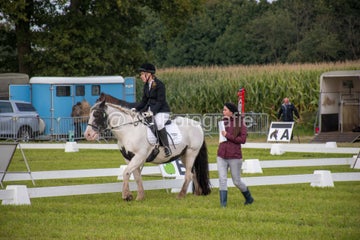20241006-_dsc0137-standard.jpg