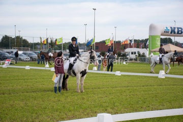 20241006-_dsc0138-standard.jpg