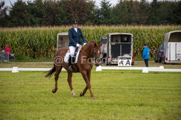 20241006-_dsc0140-standard.jpg