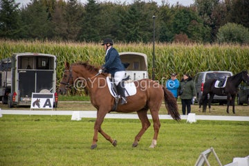 20241006-_dsc0141-standard.jpg