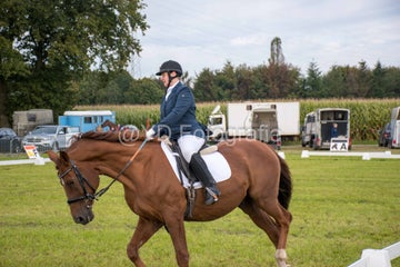 20241006-_dsc0142-standard.jpg