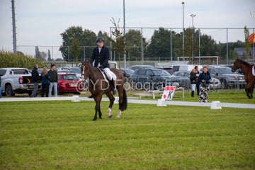 20241006-_dsc0145-standard.jpg