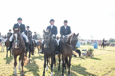 20241006-_dsc0147-standard-czig44.jpg