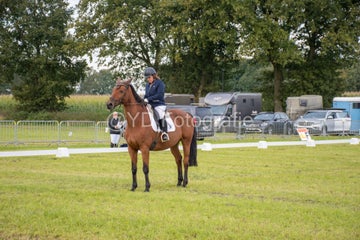 20241006-_dsc0147-standard.jpg