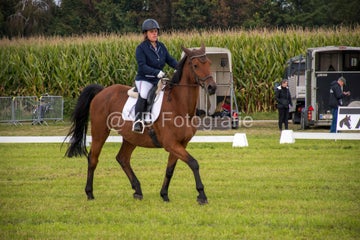 20241006-_dsc0148-standard.jpg
