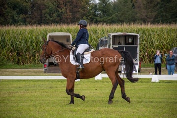20241006-_dsc0150-standard.jpg
