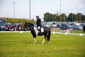 20241006-_dsc0154-standard.jpg