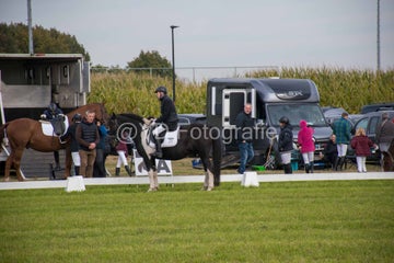 20241006-_dsc0155-standard.jpg