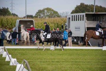 20241006-_dsc0156-standard.jpg