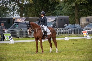 20241006-_dsc0157-standard.jpg