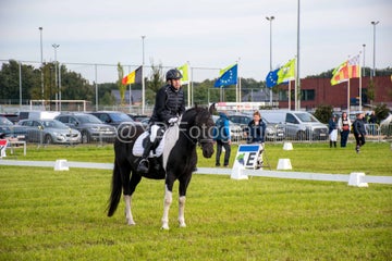 20241006-_dsc0160-standard.jpg