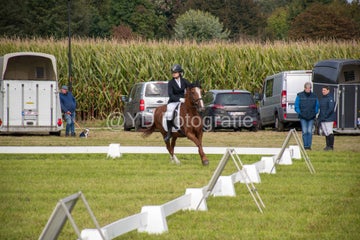20241006-_dsc0161-standard.jpg