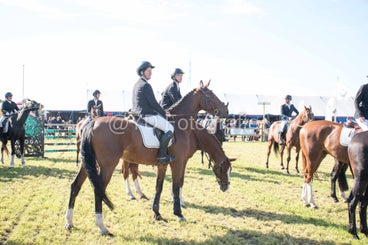 20241006-_dsc0162-standard-g15aha.jpg
