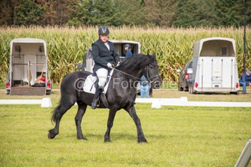 20241006-_dsc0164-standard.jpg