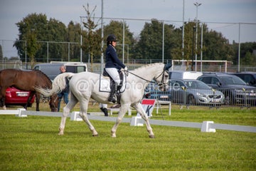 20241006-_dsc0166-standard.jpg
