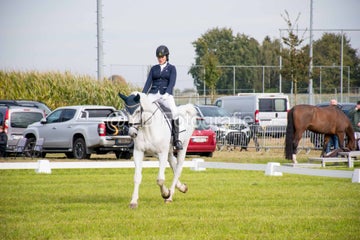 20241006-_dsc0167-standard.jpg