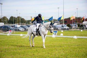 20241006-_dsc0168-standard.jpg