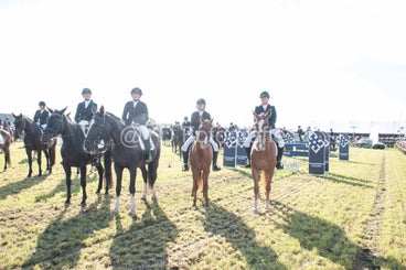 20241006-_dsc0169-standard-268drk.jpg
