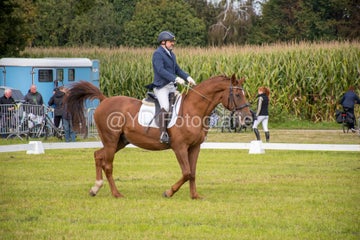 20241006-_dsc0170-standard.jpg
