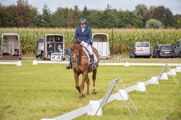 20241006-_dsc0171-standard.jpg