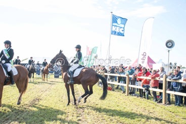 20241006-_dsc0172-standard-p1seq8.jpg