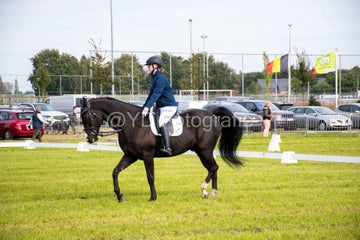 20241006-_dsc0172-standard.jpg