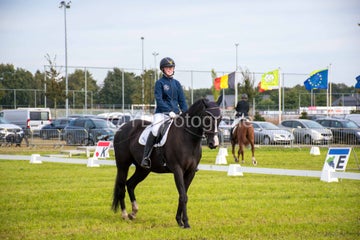 20241006-_dsc0175-standard.jpg