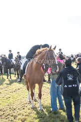 20241006-_dsc0182-standard-elbv4o.jpg