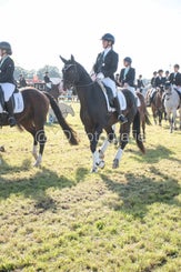 20241006-_dsc0214-standard-76e71m.jpg
