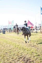 20241006-_dsc0292-standard.jpg