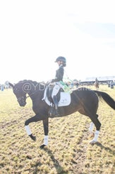 20241006-_dsc0296-standard.jpg