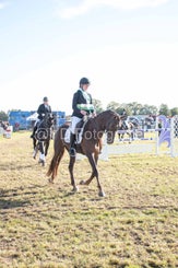 20241006-_dsc0367-standard.jpg