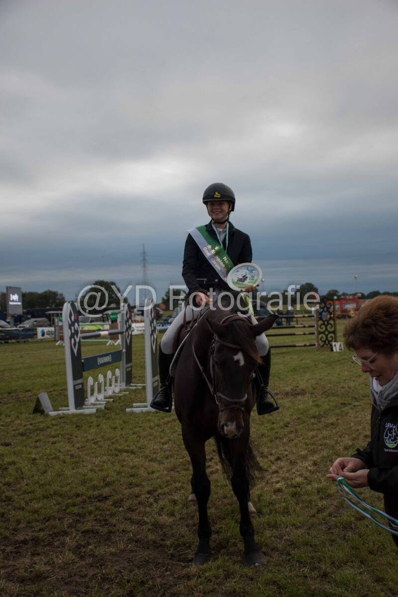 20241006-_dsc0513-standard.jpg