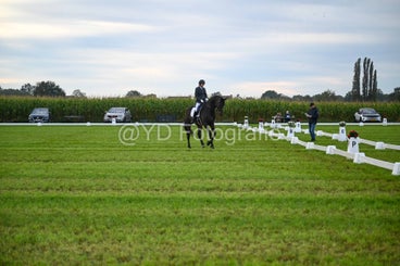 20241006-dsc_0096-standard-d41esu.jpg