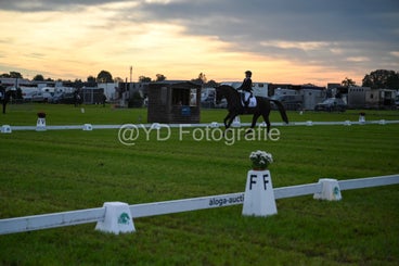 20241006-dsc_0177-standard-9yleek.jpg