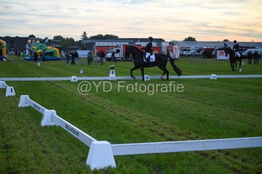 20241006-dsc_0186-standard-h8c2rv.jpg