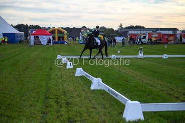20241006-dsc_0189-standard-gmqz8v.jpg