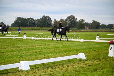20241006-dsc_0213-standard-6i1h2z.jpg