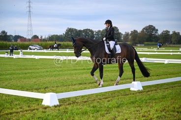20241006-dsc_0271-standard-22s1m4.jpg