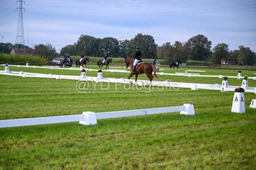 20241006-dsc_0277-standard-vk8okd.jpg