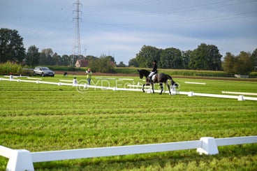 20241006-dsc_0305-standard-zldqnj.jpg