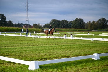 20241006-dsc_0361-standard-8y6b4f.jpg