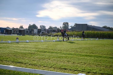 20241006-dsc_0364-standard-suq0no.jpg
