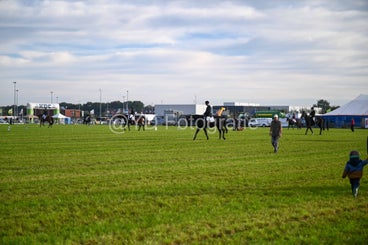 20241006-dsc_0368-standard-m9r8ws.jpg