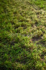 20241006-dsc_0377-standard-elngp2.jpg