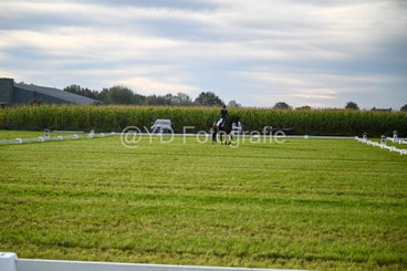 20241006-dsc_0422-standard-i2go39.jpg